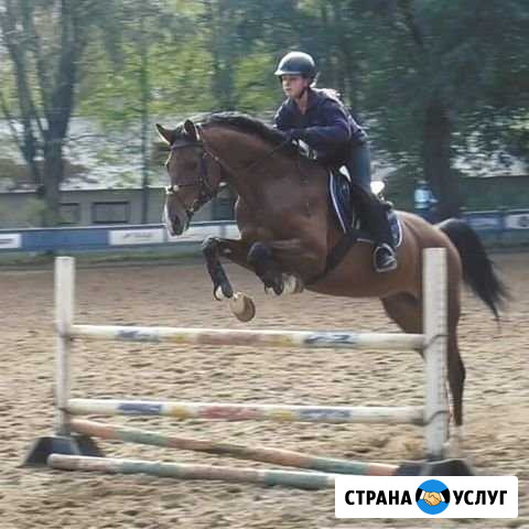 Конный спорт Москва - изображение 1