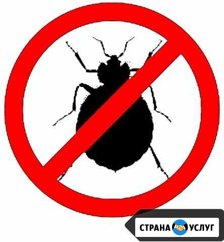 Уничтожение клопов,тараканов,блох,муравьев,мышей Саранск - изображение 1