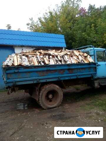 Продам дрова Шаран - изображение 1