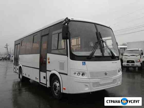 Услуга перевозка пассажиров паз 320414 вектор 2019 Петропавловск-Камчатский