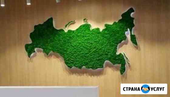 Стабилизированный мох Нижнекамск