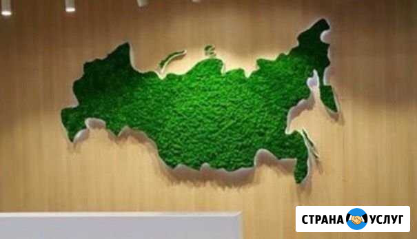 Стабилизированный мох Нижнекамск - изображение 1