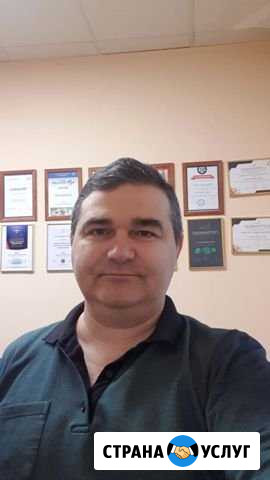 Создание и продвижение сайтов Волгоград - изображение 1