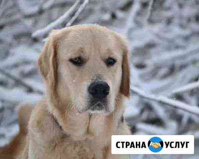 Мастер на час. Муж на час Севастополь