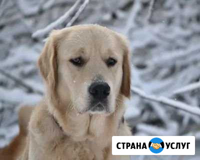 Мастер на час. Муж на час Севастополь - изображение 1