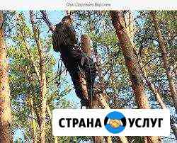 Спил деревьев,услуги автовышки,расчистка участка Таганрог