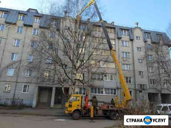 Аренда автовышки японской 25 м, собственник Ярославль