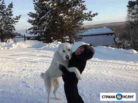 Гостиница для собак Полевской