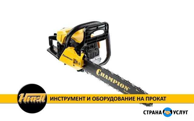 Бензопила на прокат Champion 237-16 Липецк - изображение 1