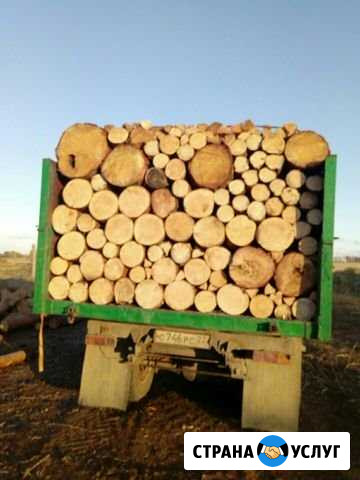 Продам дрова Рубцовск - изображение 1