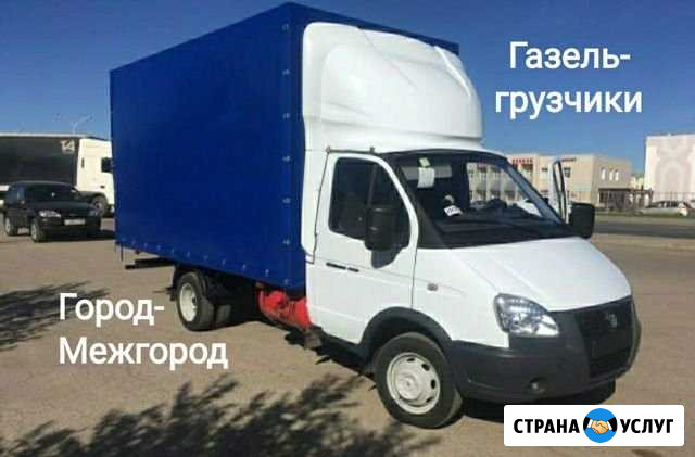 Грузоперевозки Курган - изображение 1
