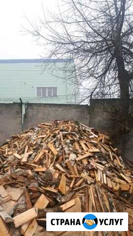 Продам дрова,дуб берёза,горбыль Кугеси - изображение 1