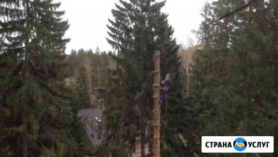 Удалить дерево, спилить дерево, измельчение ветвей Москва