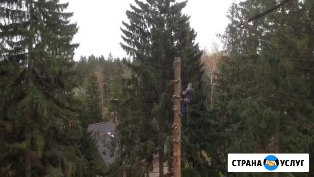 Удалить дерево, спилить дерево, измельчение ветвей Москва - изображение 1