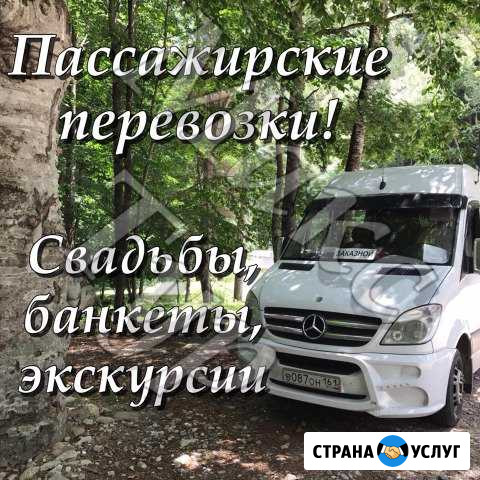 Перевозки пассажиров Сальск - изображение 1