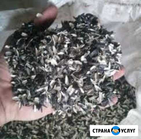 Шелуха лузга подсолнечника Гулькевичи - изображение 1