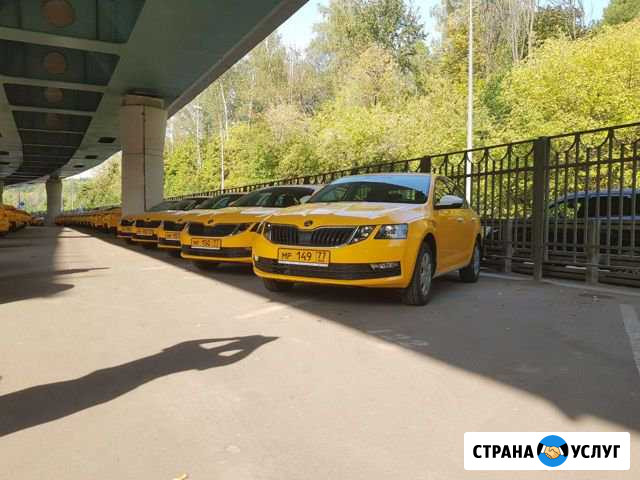 Аренда авто под такси Kia Optima и Skoda Octavia Москва - изображение 1