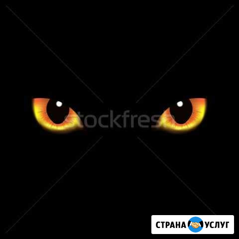 Частный детектив Москва - изображение 1