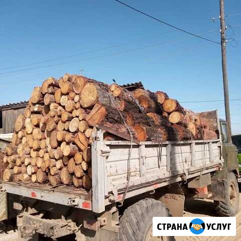 Дрова листвяк сухой Чита - изображение 1