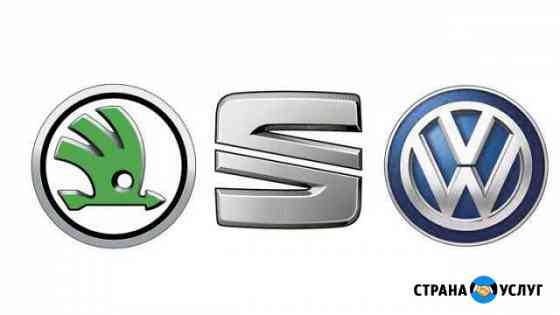 Диагностика Skoda,Volkswagen,Seat перед покупкой Москва
