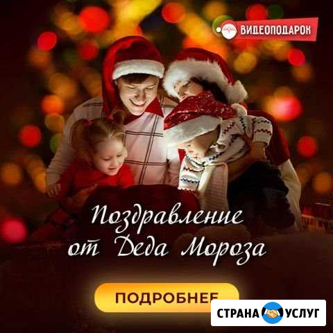 Видеопоздравление от Деда Мороза Оленегорск - изображение 1