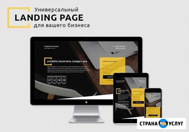 Делаю качественную копию продающего лендинга Зеленоград - изображение 1
