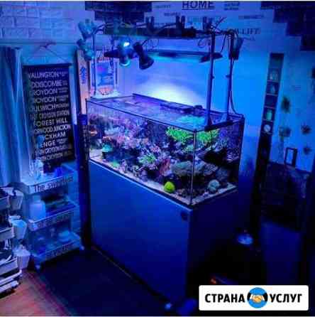 Обслуживание аквариума Краснодар