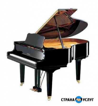 Настройка, настройщик- фортепиано, рояль, пианино Санкт-Петербург