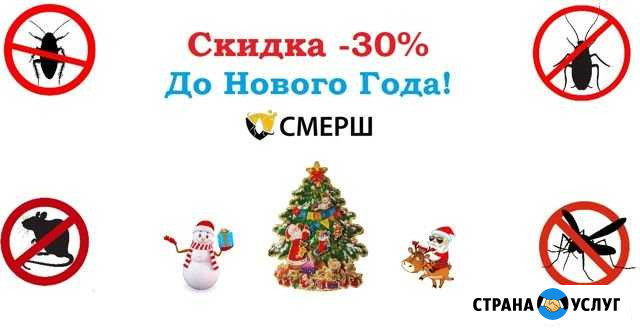 Уничтожение тараканов, клопов, блох, муравьёв Хабаровск - изображение 1