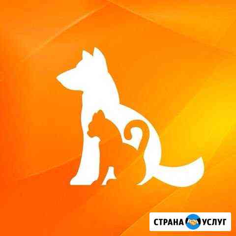 Передержка животных Воронеж