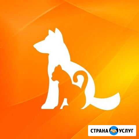 Передержка животных Воронеж - изображение 1