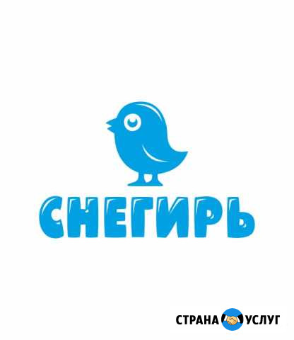 Прокат сноубордов и горных лыж Хабаровск - изображение 1