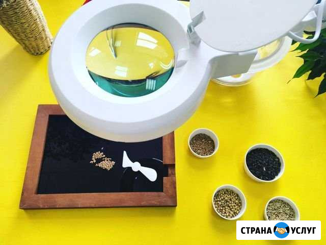 Лабораторное и аграрное оборудование Барнаул - изображение 1