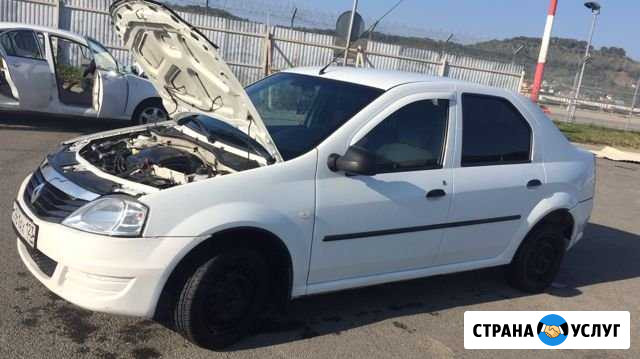 Аренда авто под такси Сочи - изображение 1
