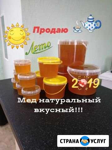 Продается натуральный мед и пчелиные продукты Грачёвка - изображение 1