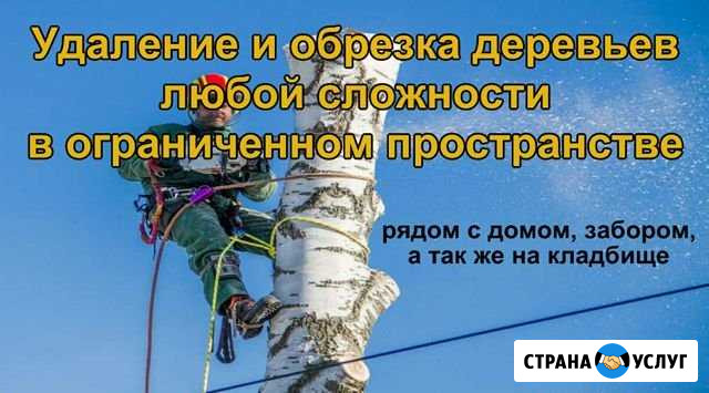 Спил деревьев, покос травы, уборка участков Хворостянка - изображение 1