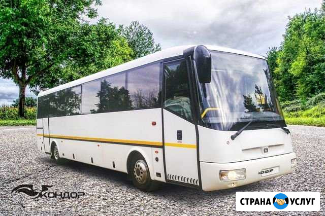 Автобус Ивека Sor (Пассажирские перевозки) 45мест Киров - изображение 1