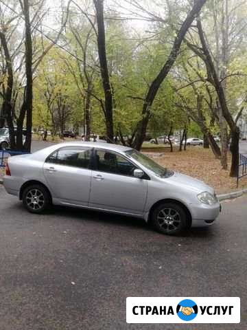 Аренда авто Хабаровск - изображение 1