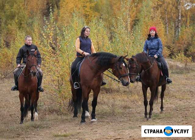 Уроки верховой езды, прогулки в поле на лошадях Старая - изображение 1