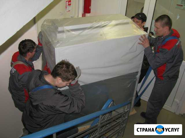 Опытные грузчики Петрозаводск - изображение 1