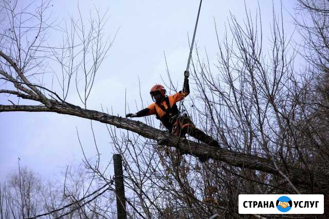 Спил сложных деревьев, обрезка деревьев Тольятти - изображение 1