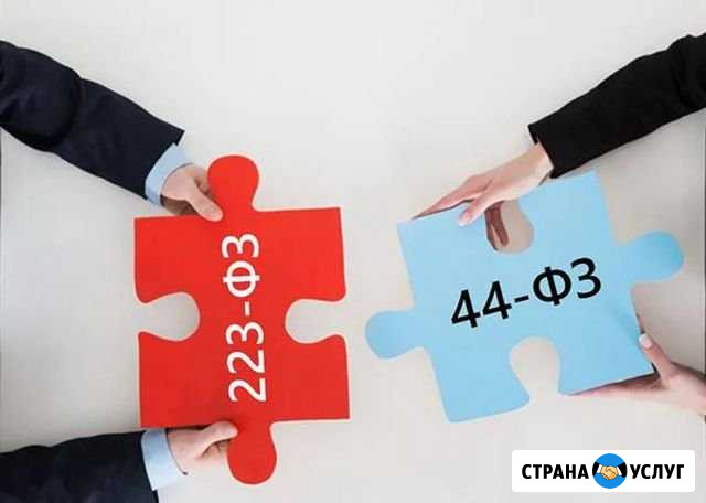 Тендерное сопровождение + эцп Пожва - изображение 1