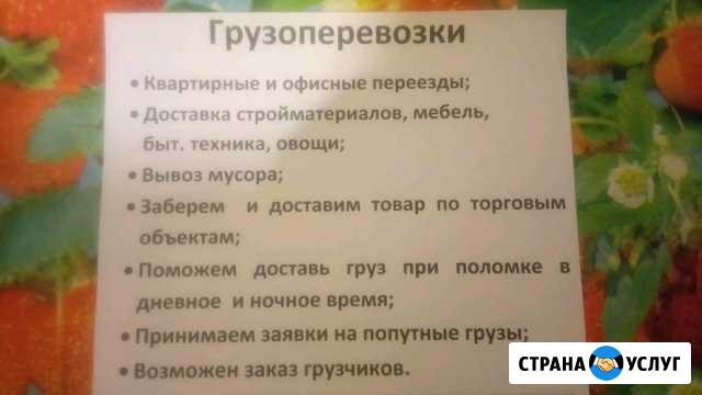 Грузоперевозки Маркс - изображение 1