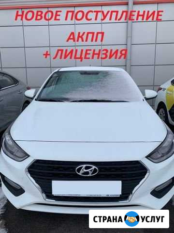 Аренда авто под выкуп Красноярск - изображение 1