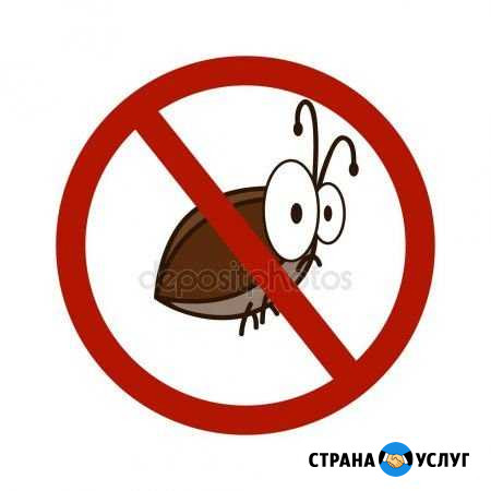 Травим тараканов Улан-Удэ - изображение 1