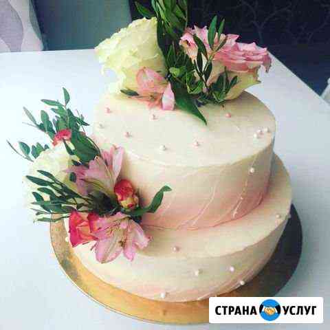Торт, капкейки по индивидуальному заказу Тверь