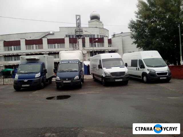 Грузоперевозки. быстрый заказ Курган - изображение 1