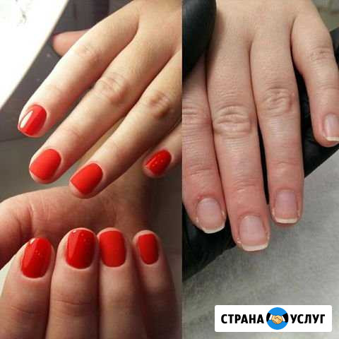 Маникюр, педикюр Мытищи - изображение 1