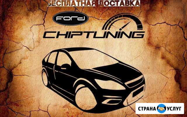 Грамотный Чип тюнинг Форд фокус 2 Москва - изображение 1