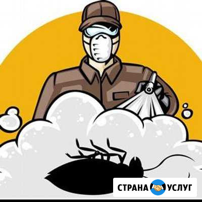 Дезинсекция,дератизация Краснодар - изображение 1